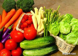 農(nóng)業(yè)社交電商 綠色食品博覽會中的農(nóng)產(chǎn)品銷售新篇章